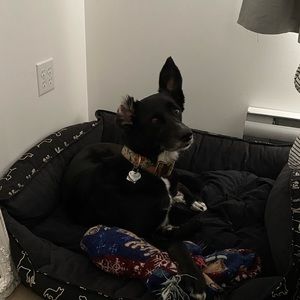 Meet your Posher, Bridget